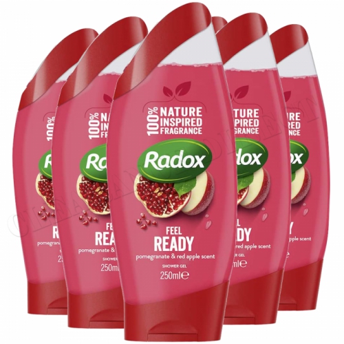 Radox 100% Nature Inspired Fragrance Shower Gel, Feel Ready, 6 Pack, 250ml